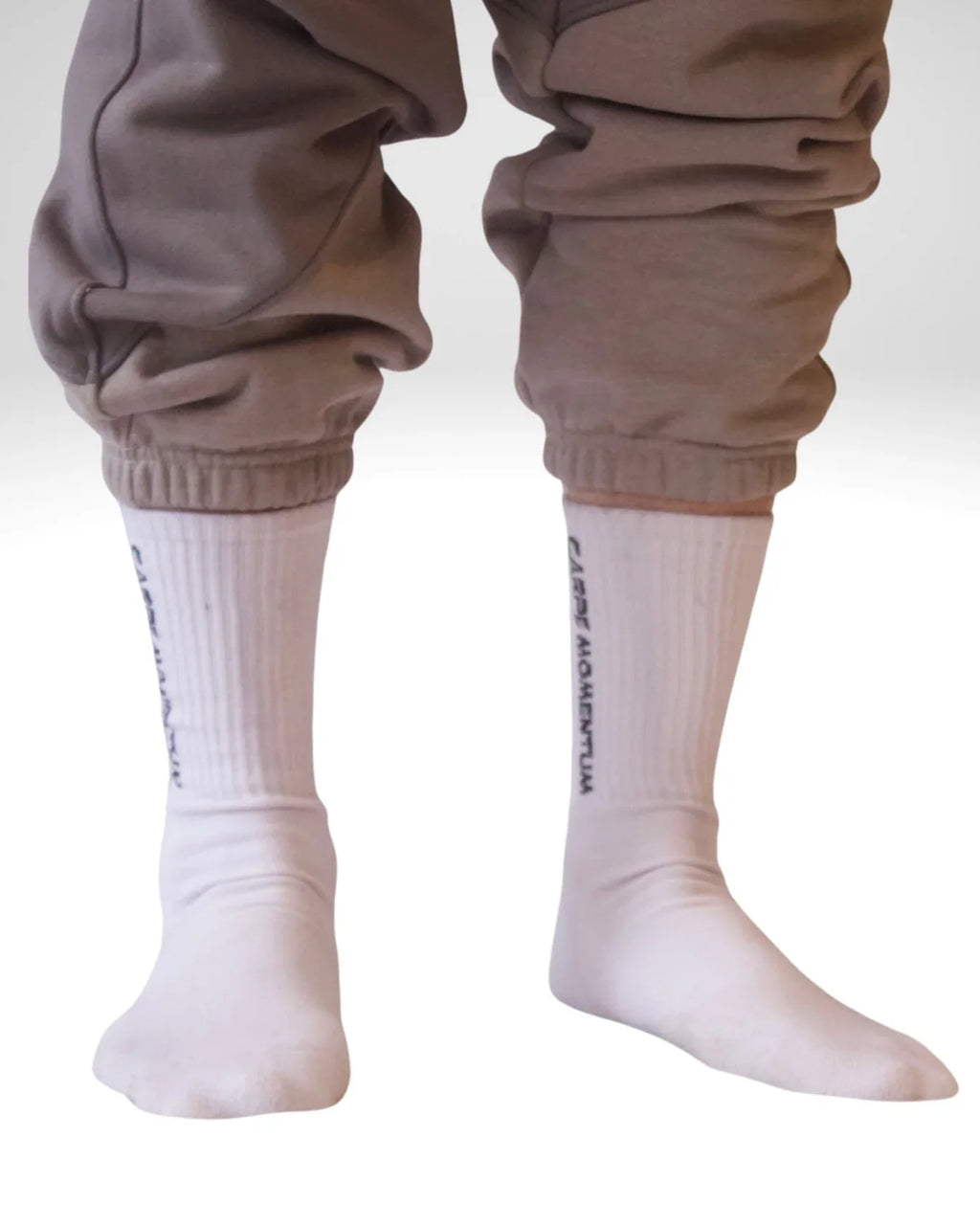 Carpe Momentum Mid-Calf Socks